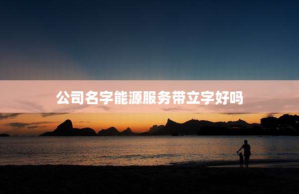 公司名字能源服务带立字好吗