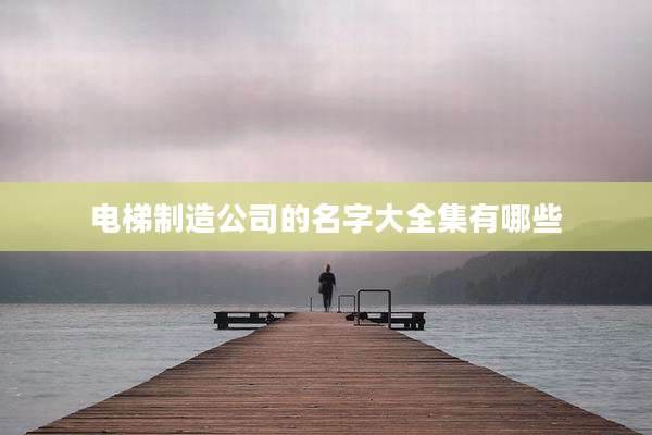 电梯制造公司的名字大全集有哪些