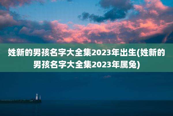姓新的男孩名字大全集2023年出生(姓新的男孩名字大全集2023年属兔)