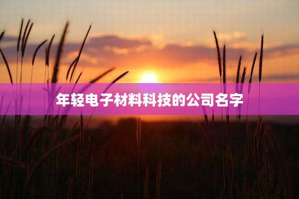 年轻电子材料科技的公司名字