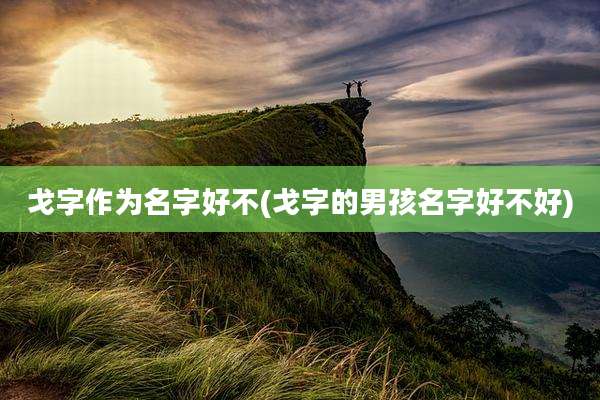 戈字作为名字好不(戈字的男孩名字好不好)