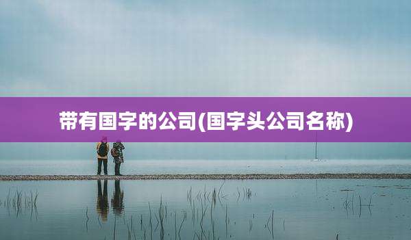 带有国字的公司(国字头公司名称)