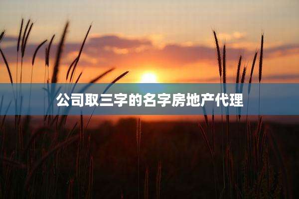 公司取三字的名字房地产代理