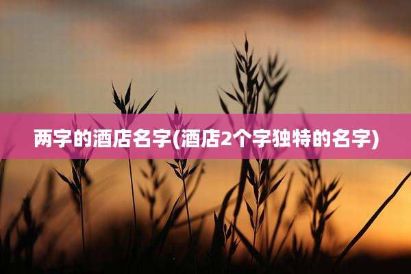两字的酒店名字(酒店2个字独特的名字)