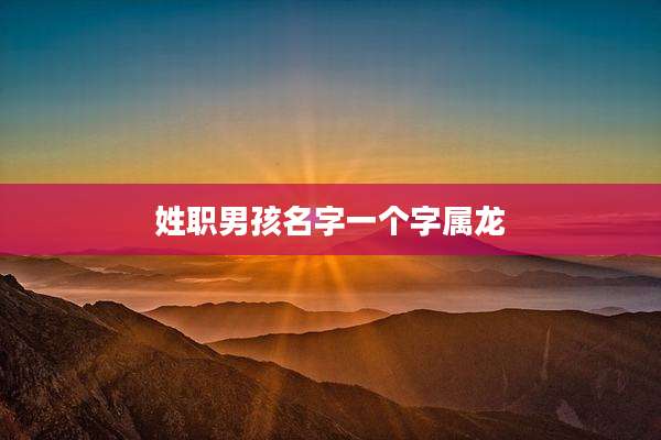 姓职男孩名字一个字属龙