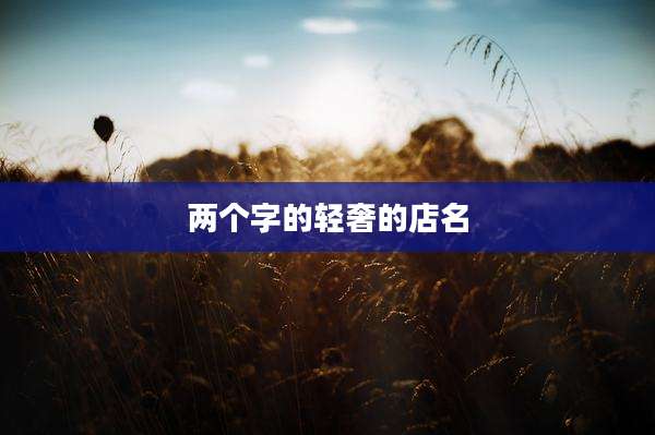 两个字的轻奢的店名