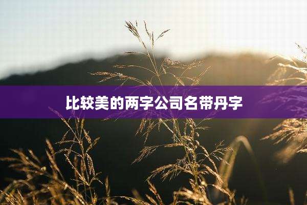 比较美的两字公司名带丹字