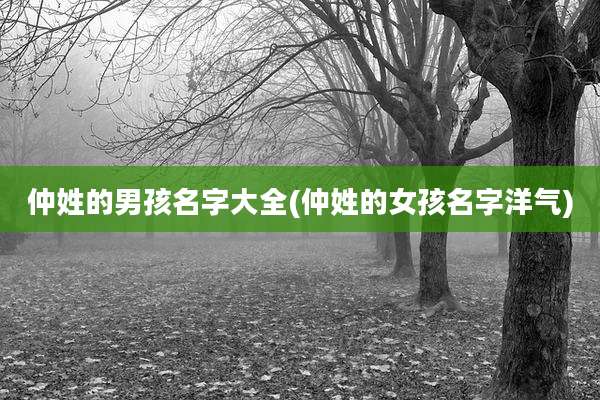 仲姓的男孩名字大全(仲姓的女孩名字洋气)