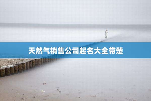 天然气销售公司起名大全带楚