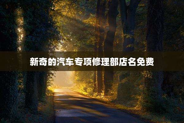 新奇的汽车专项修理部店名免费