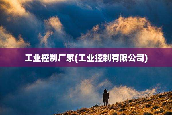 工业控制厂家(工业控制有限公司)