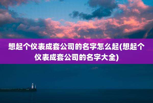 想起个仪表成套公司的名字怎么起(想起个仪表成套公司的名字大全)