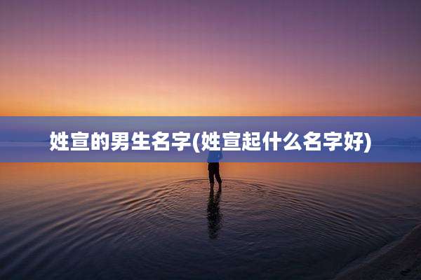 姓宣的男生名字(姓宣起什么名字好)