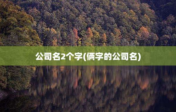 公司名2个字(俩字的公司名)