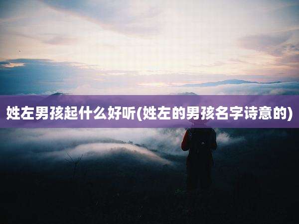 姓左男孩起什么好听(姓左的男孩名字诗意的)