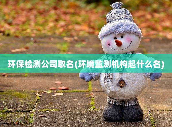 环保检测公司取名(环境监测机构起什么名)