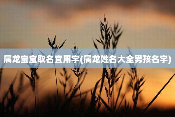 属龙宝宝取名宜用字(属龙姓名大全男孩名字)