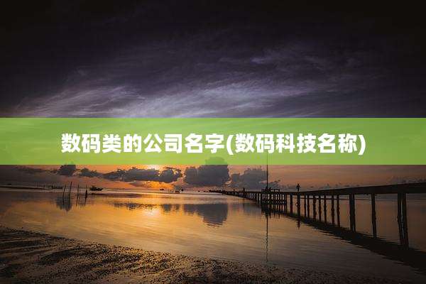 数码类的公司名字(数码科技名称)