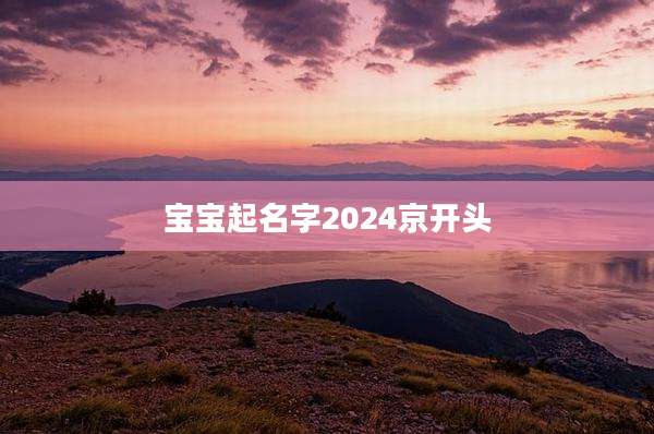 宝宝起名字2024京开头