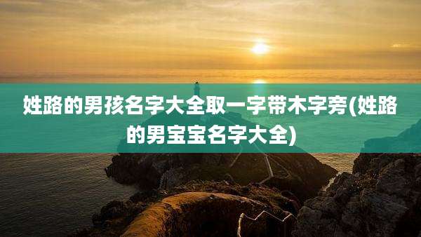姓路的男孩名字大全取一字带木字旁(姓路的男宝宝名字大全)