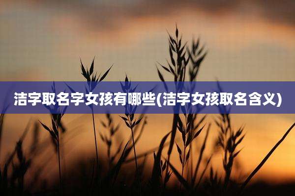 洁字取名字女孩有哪些(洁字女孩取名含义)