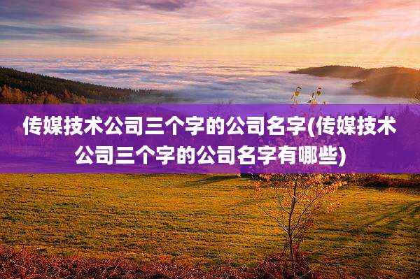 传媒技术公司三个字的公司名字(传媒技术公司三个字的公司名字有哪些)
