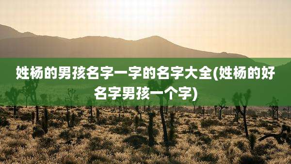 姓杨的男孩名字一字的名字大全(姓杨的好名字男孩一个字)