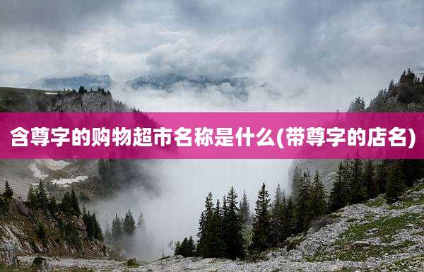 含尊字的购物超市名称是什么(带尊字的店名)