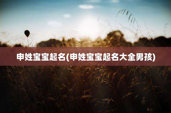 申姓宝宝起名(申姓宝宝起名大全男孩)