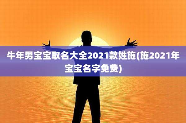 牛年男宝宝取名大全2021款姓施(施2021年宝宝名字免费)