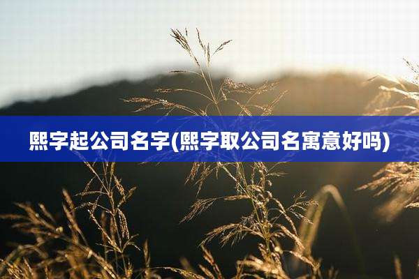 熙字起公司名字(熙字取公司名寓意好吗)