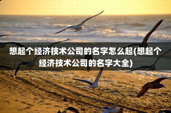 想起个经济技术公司的名字怎么起(想起个经济技术公司的名字大全)