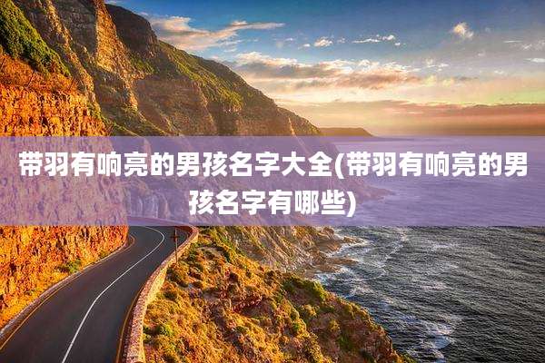 带羽有响亮的男孩名字大全(带羽有响亮的男孩名字有哪些)