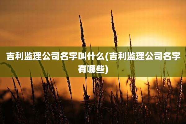 吉利监理公司名字叫什么(吉利监理公司名字有哪些)