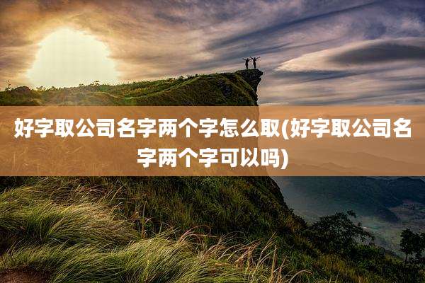 好字取公司名字两个字怎么取(好字取公司名字两个字可以吗)