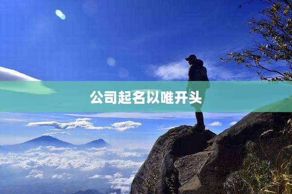 公司起名以唯开头