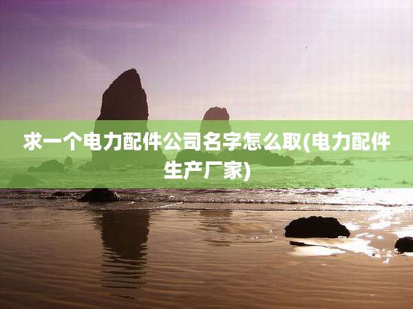求一个电力配件公司名字怎么取(电力配件生产厂家)