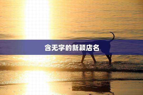 含无字的新颖店名