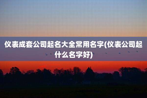 仪表成套公司起名大全常用名字(仪表公司起什么名字好)