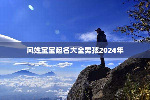 风姓宝宝起名大全男孩2024年