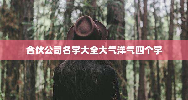合伙公司名字大全大气洋气四个字