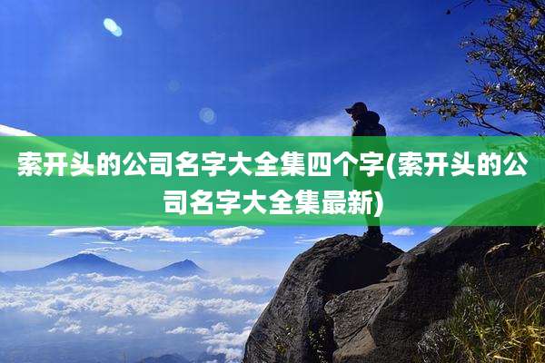 索开头的公司名字大全集四个字(索开头的公司名字大全集最新)