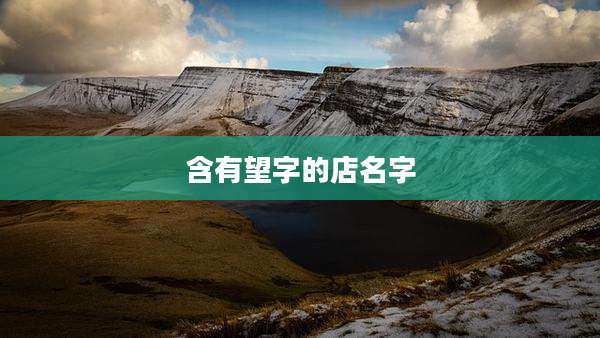 含有望字的店名字