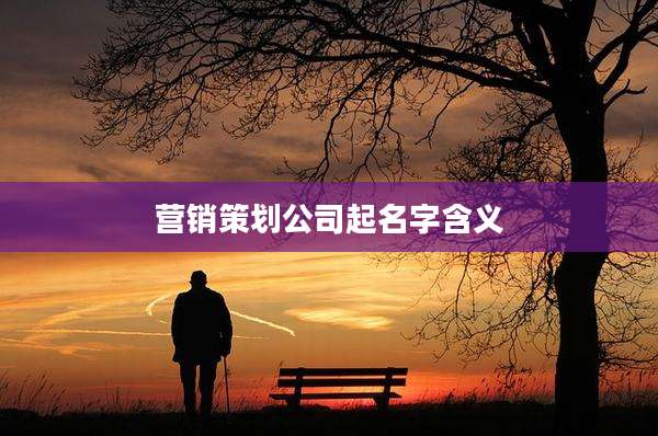 营销策划公司起名字含义