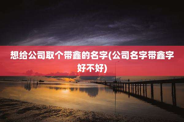 想给公司取个带鑫的名字(公司名字带鑫字好不好)