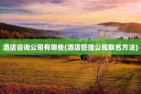 酒店咨询公司有哪些(酒店管理公司取名方法)