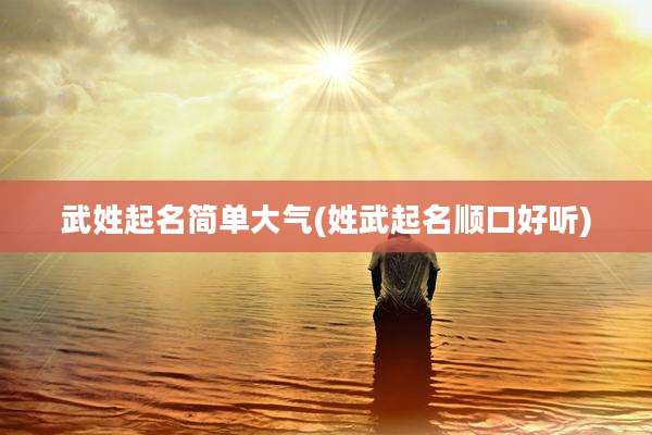 武姓起名简单大气(姓武起名顺口好听)