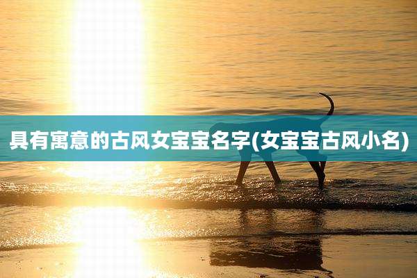 具有寓意的古风女宝宝名字(女宝宝古风小名)