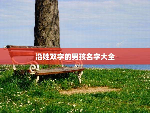 沿姓双字的男孩名字大全