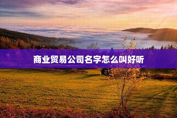 商业贸易公司名字怎么叫好听